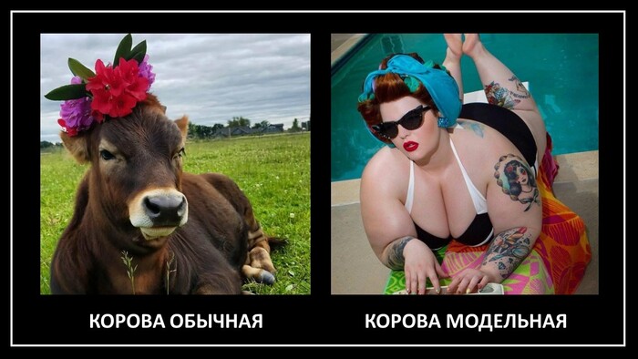 ����� �� ������� �������� �� �����������, ���, �����������, ������ ������ ���������. ������, ��� ������ � ������...��������, ������ �� ����� �������