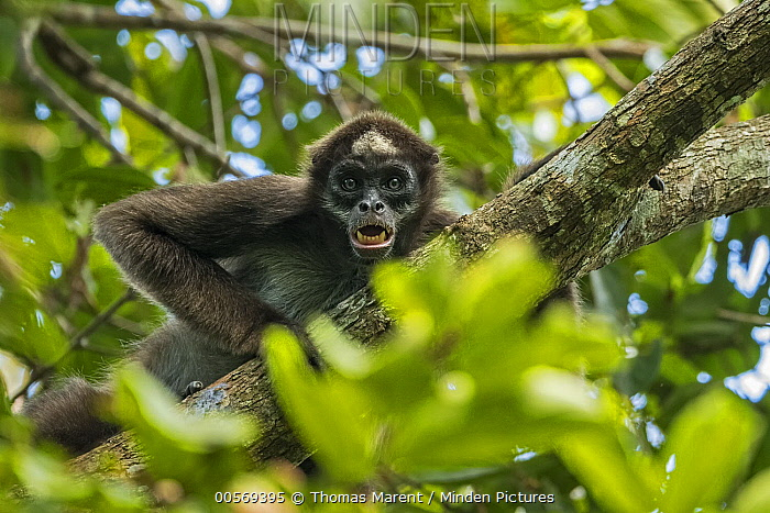 Когда ты менял глаза тысячами лет эволюции, а люди просто придумали линзы.