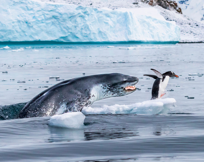 ����! �� ��� �� ����������.