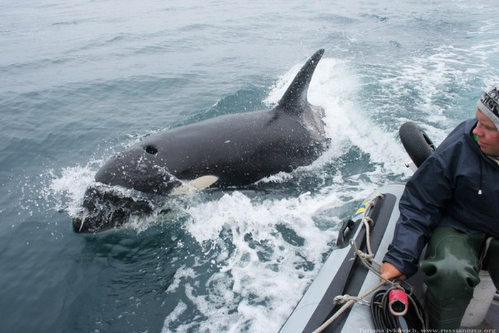 � ��� �������� �� � ��������� ���������?