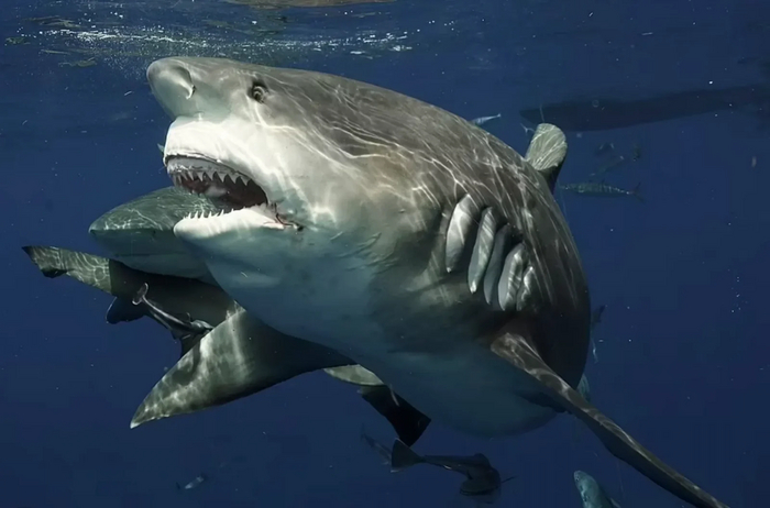 � ����� �� ���� �� ���� ��� ���������? �� ��, ���� �����-��...