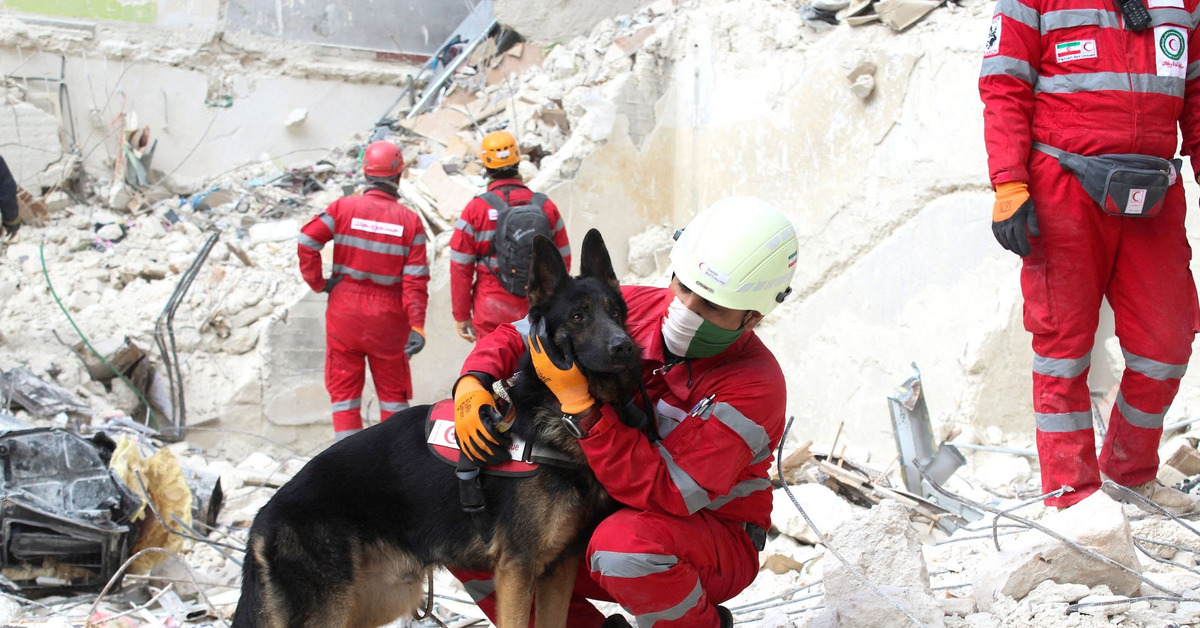 Спасенные землетрясение. Собаки спасатели в Турции 2023. Российские спасатели в Турции 2023. Поисково-спасательная служба собак. Поисково спасательные собаки.