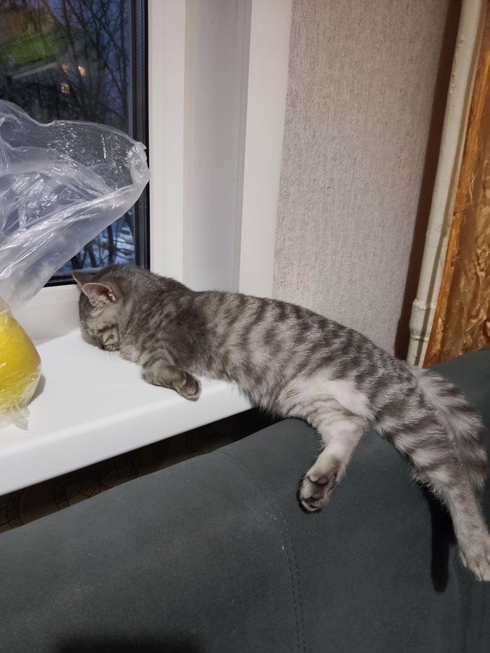 И где еще удобно спац