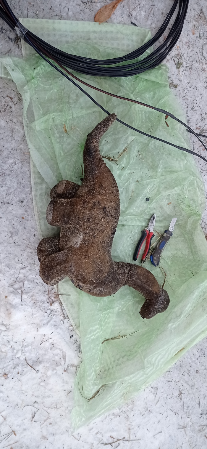 �������� �����