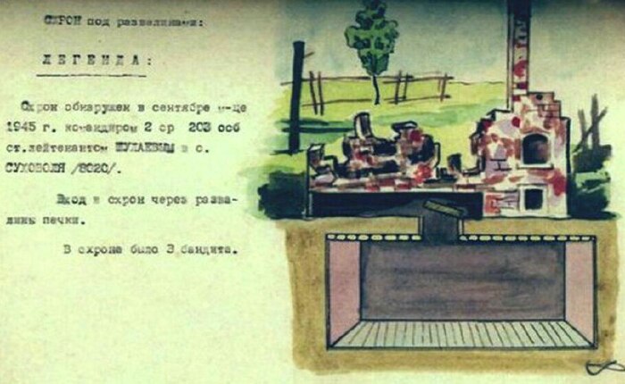 ����� ��� ������