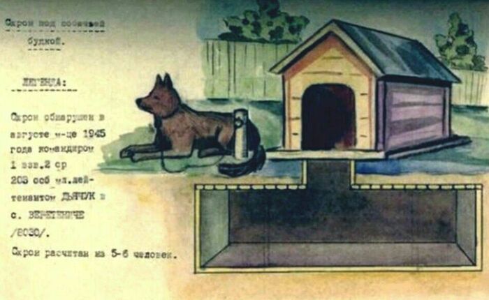 ����� ��� ������