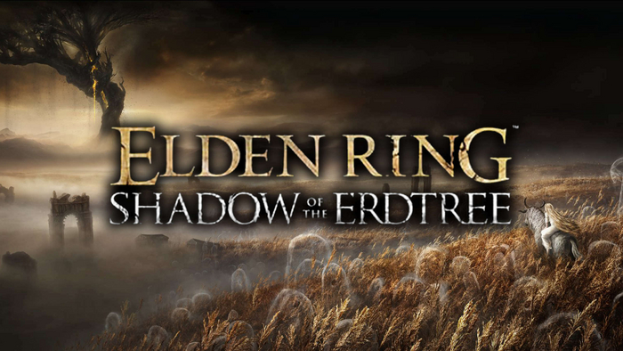  Shadow of the Erdtree  Elden Ring    ,       Steam.
