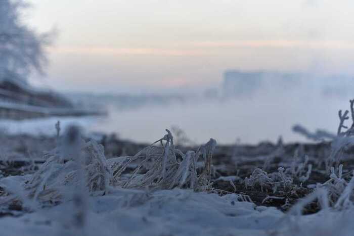 ���� ������