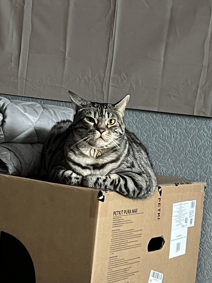        , , , , , , , ,  ,  ,   