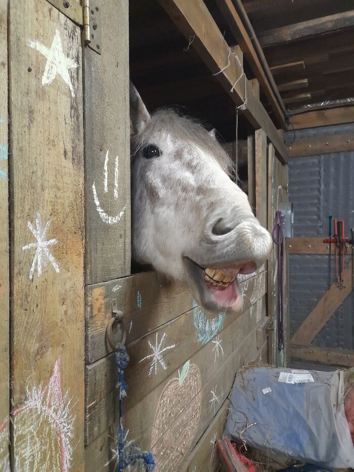 Пунш aka Толстый