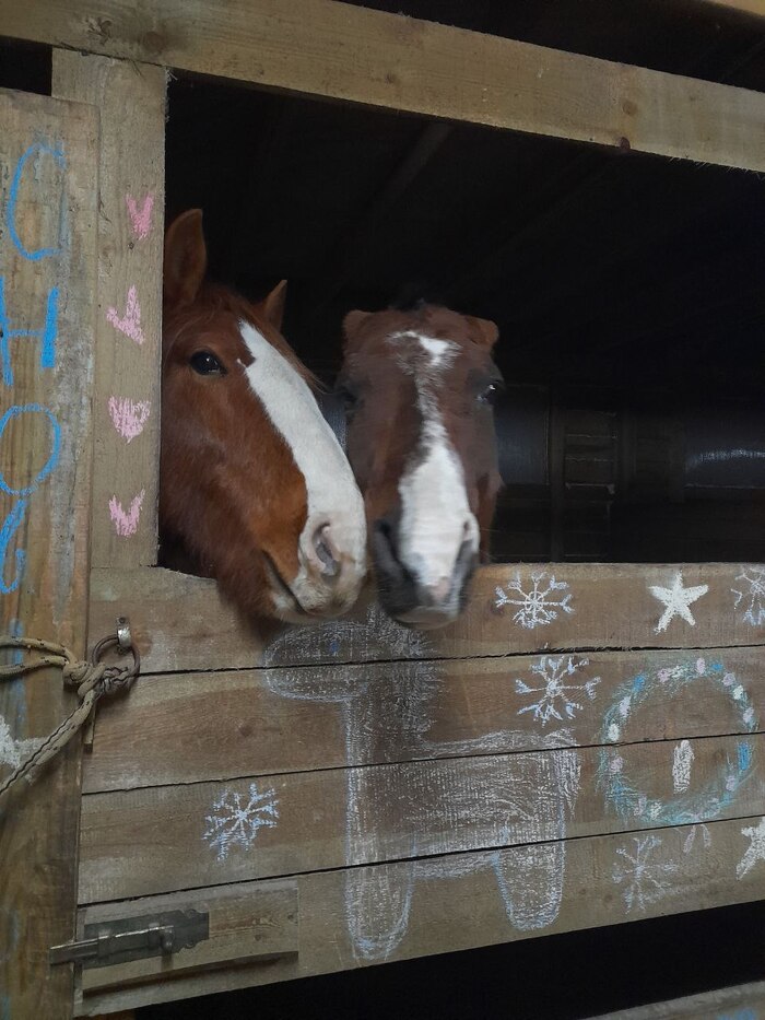 Главный и его крестный папка Майбах aka Dick