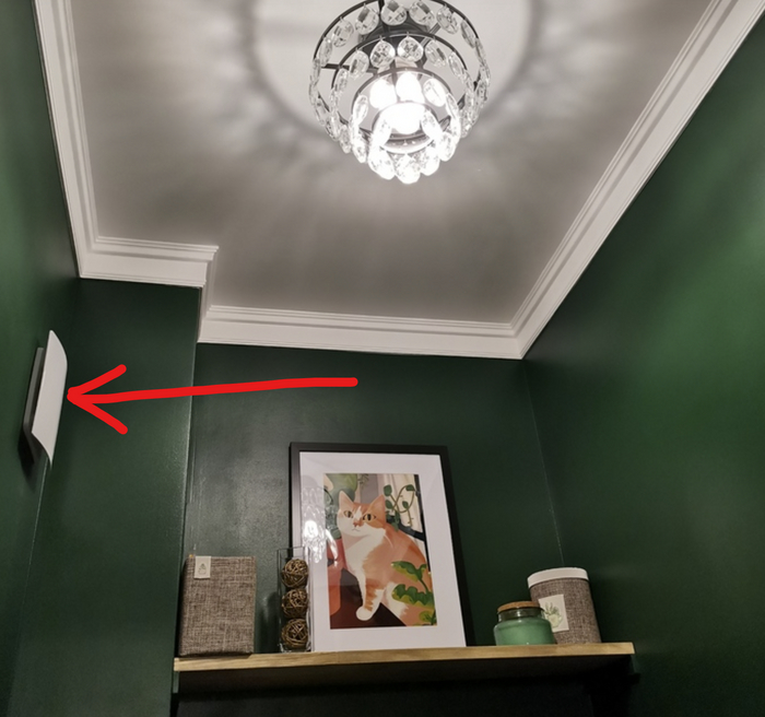 ��� - ��, ������� � ��� � ������ � �������