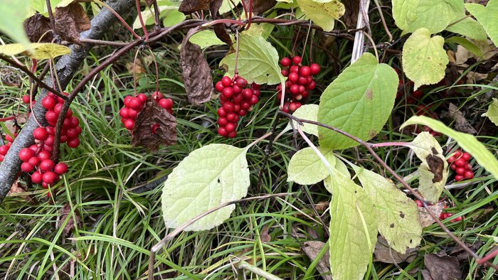 � ��: ��� ��� �������� ��������, � �������� � � ����� ���� �������