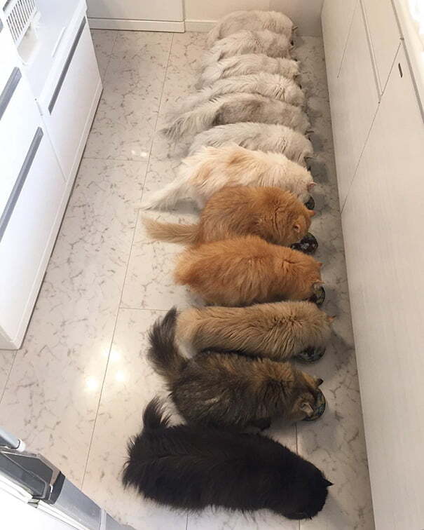  , ,  , 