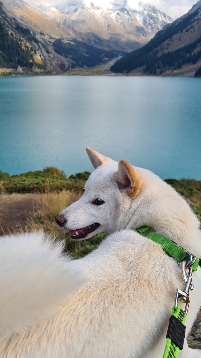 Большое Алматинское озеро. Казахстан (Алматы)