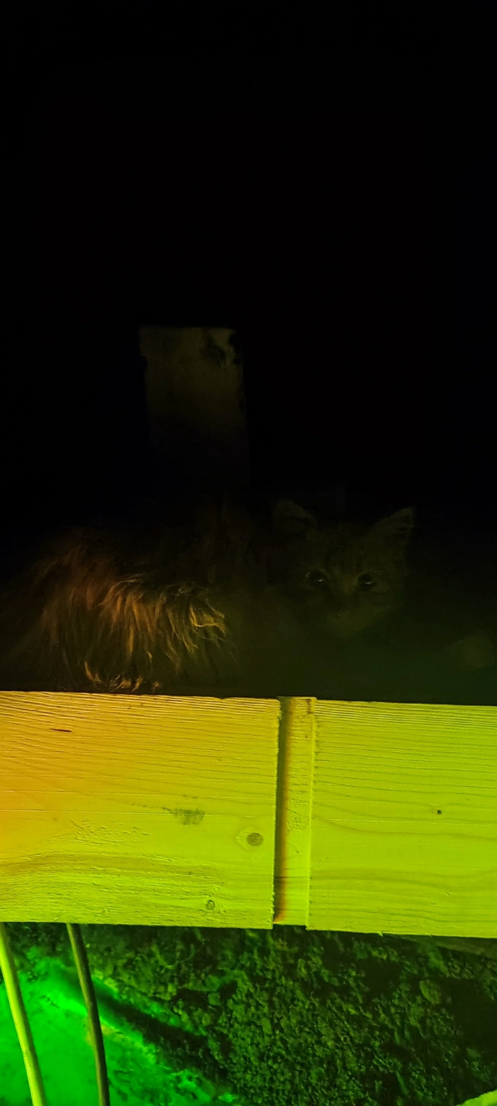 ����� �������� �� ������ �������� ����, ���� ����� �������� - ����.