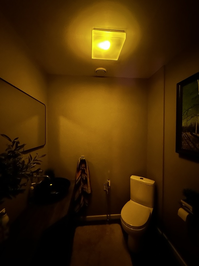 ������ ����