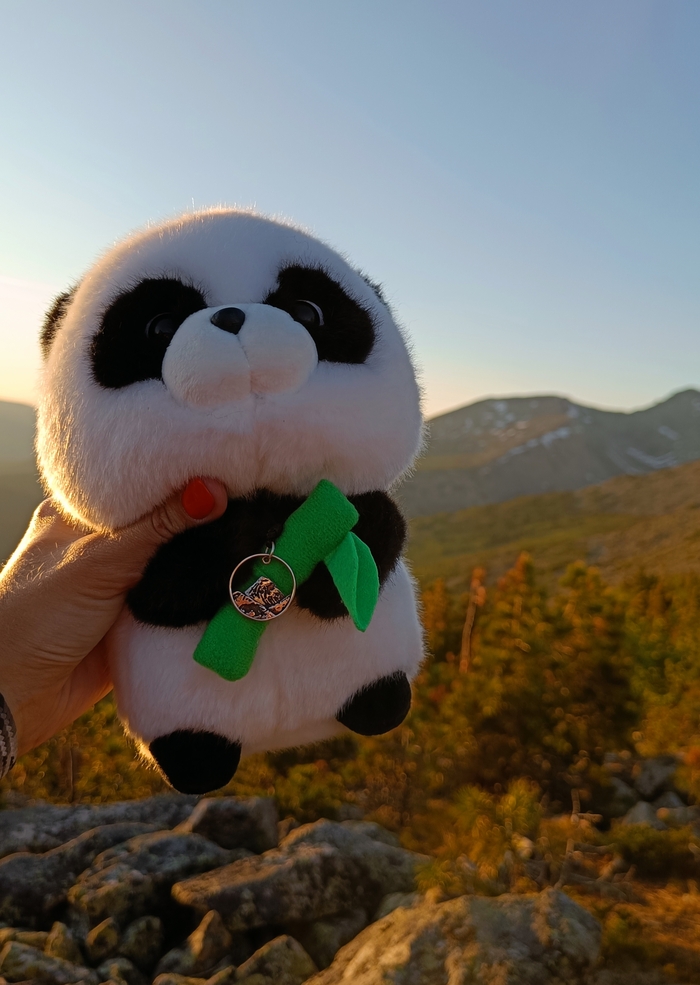 Вместе смотреть на закат красивее.