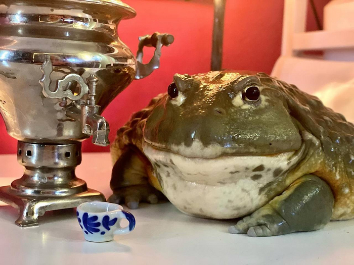 P.S: ,  .   """  ,  .