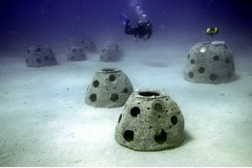 Американская компания Eternal Reefs превращает кремированные человеческие останки в искусственные рифы Перевел сам, Reddit, Океан, Море, Риф, Человек, Познавательно, Telegram (ссылка)