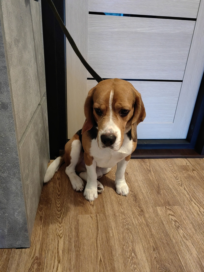 ���� � ��� ��� � ��������� ����