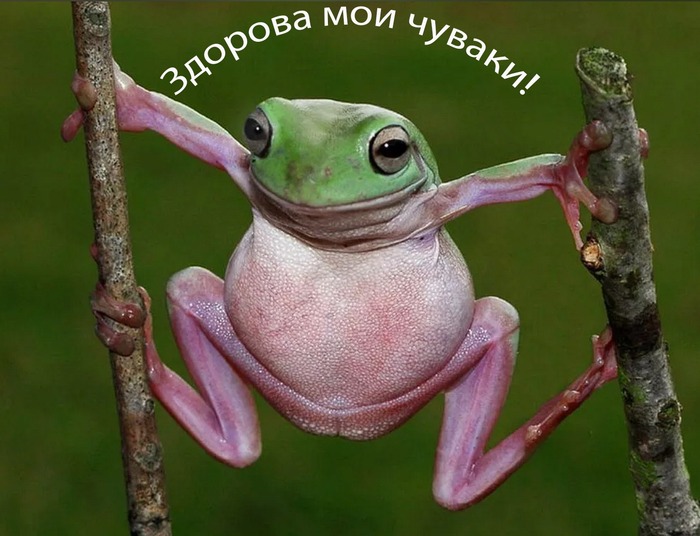 ~~ ~~     !