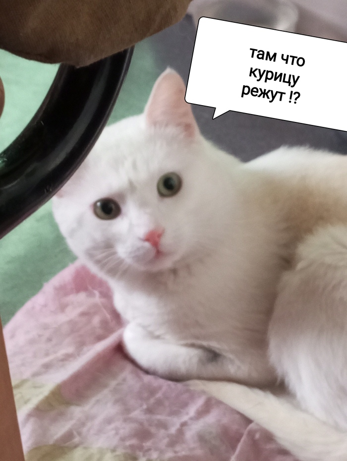 Жизнь на ТДС в тайге. День святого Валентина Метеостанция, 14 февраля - День святого Валентина, Любовь, Торт, Длиннопост