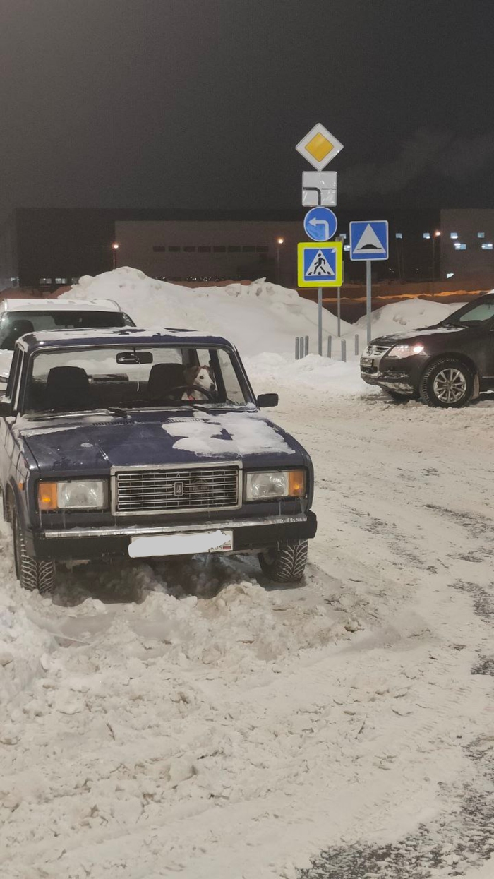 Щенячий патруль