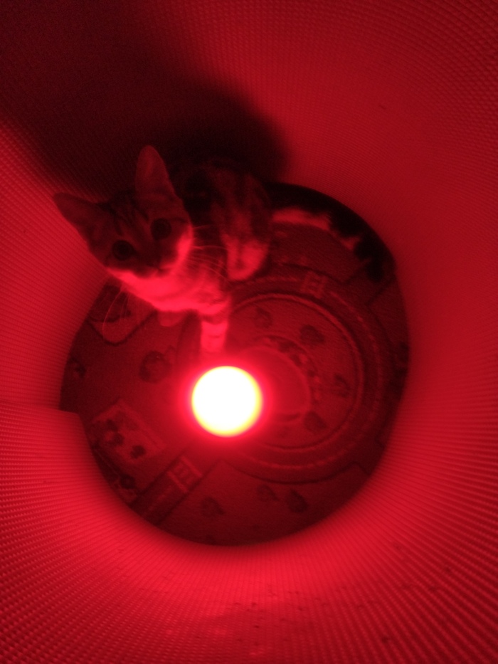 ����� ���