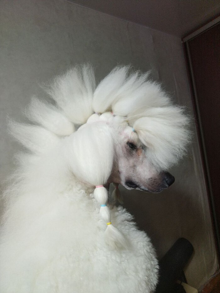 �� ����� ��� �������� ����� ������!