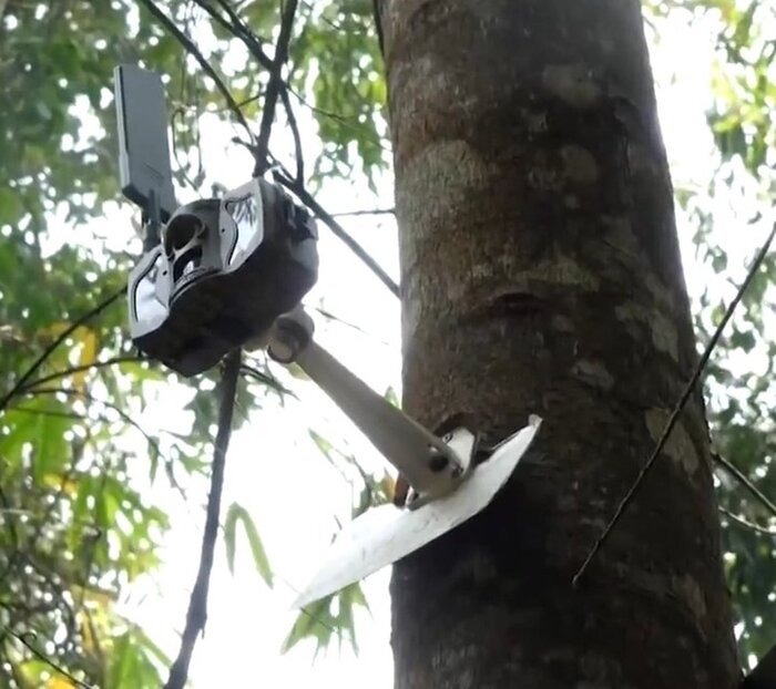 Иллюстрация-6.