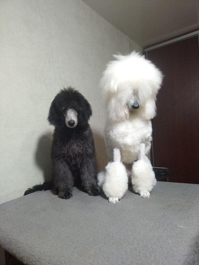 ��� ����� �� ��� ����� �������