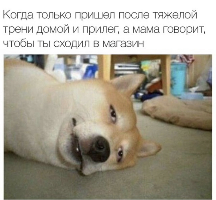 ����, ��� ��� ����