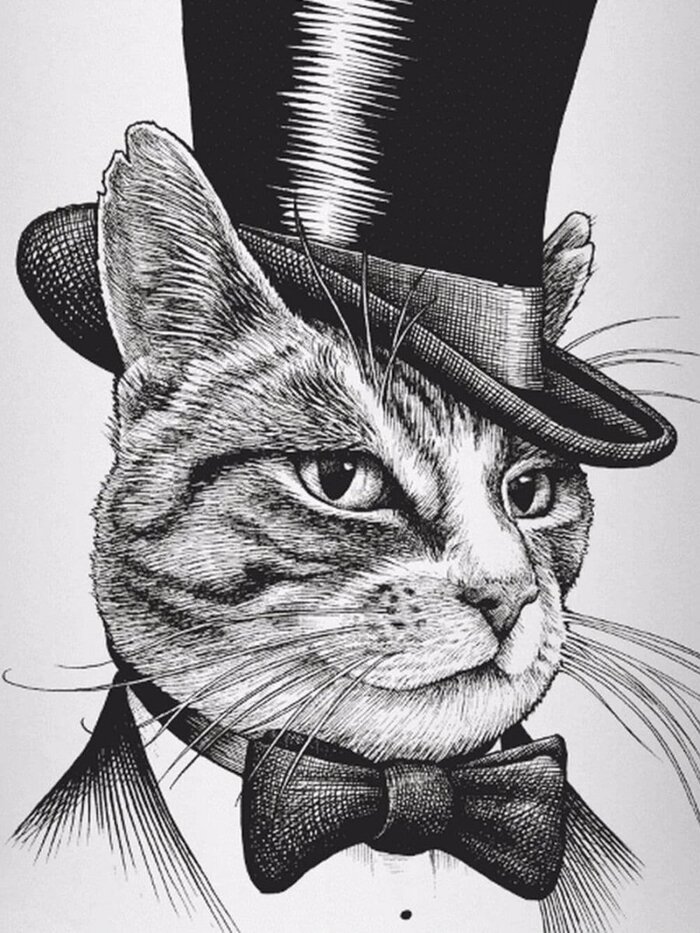 ����������� �� ����.