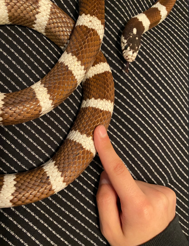 Утолщение от проглоченного предмета