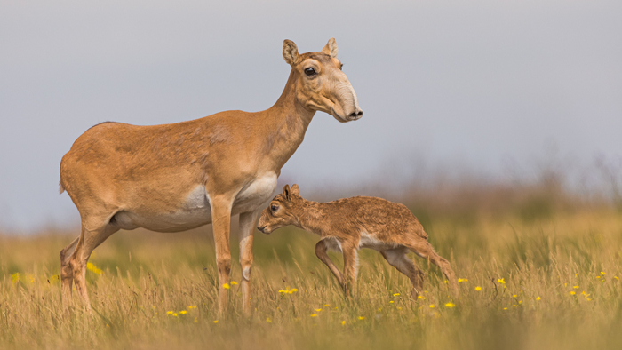 Первые шаги. Фото: Дмитрий Архипов