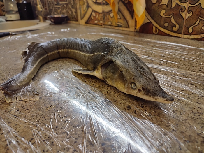 В душу смотрит просто