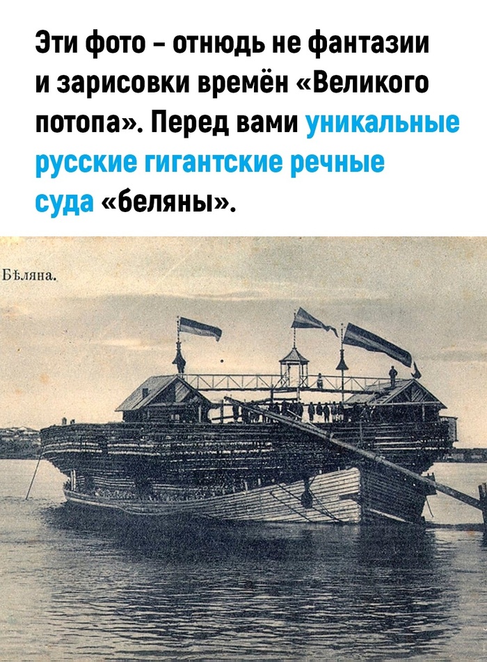 , ,   , , 