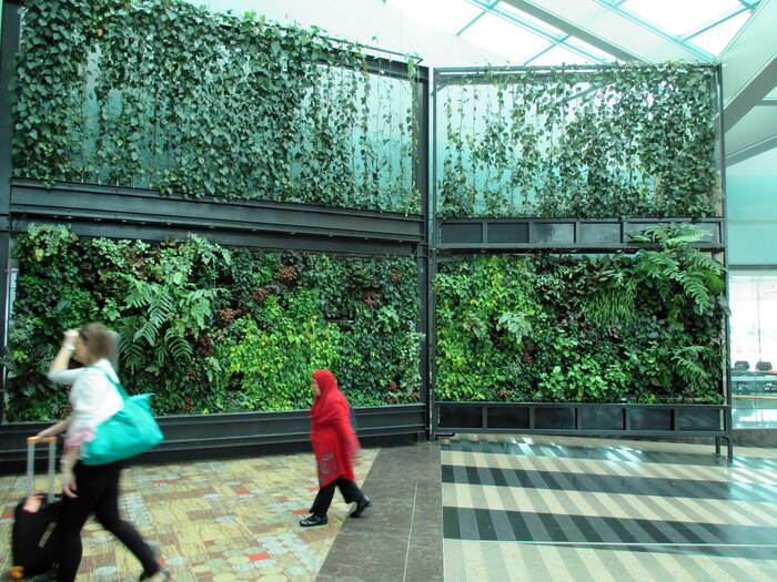 "Кудай-то ты смотришь, мялок?" Аэропорт Чанги, Сингапур.