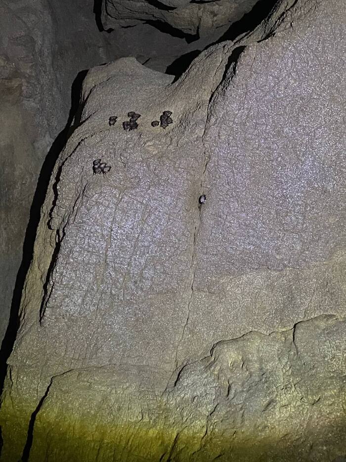 ���� ����, ���� ���� (������� ��������������)