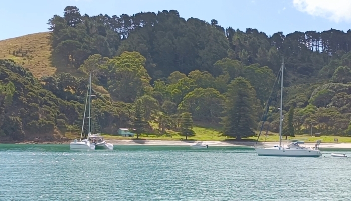 ������� ������-�� ������, ������� ����� � ��������� �����.