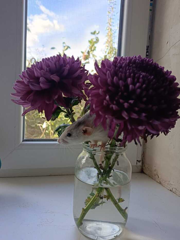      ,  ,  ,   , , 