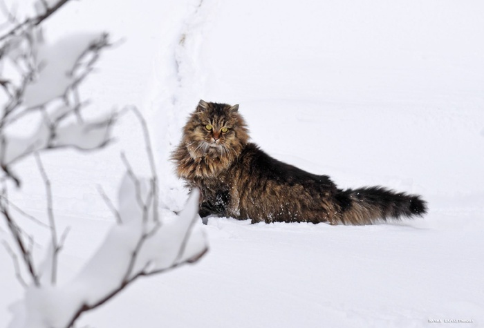 Посмотри на меня - хороша?