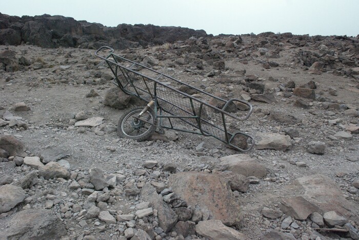 ������������� �������