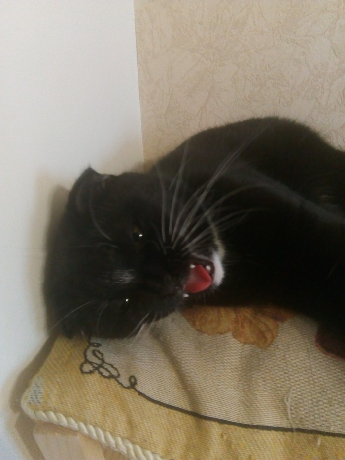 � ��� � ���! ������... ����� 4 �� 750 �. �� �� ����� ������ �� �����, ��� ������. �� � ��� ��������, ��� ����, � ������� ��� �� ������ �� �����