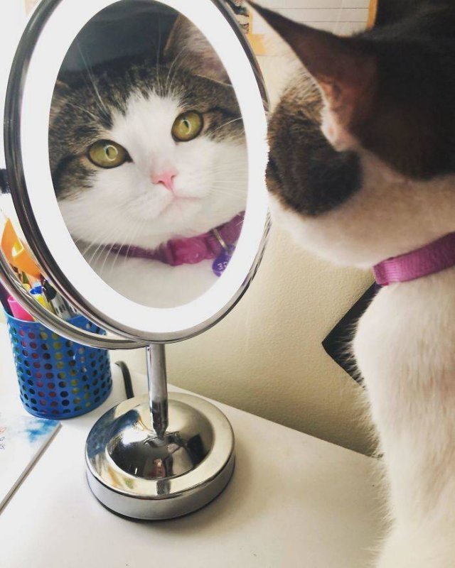  , , ... , , ,  
