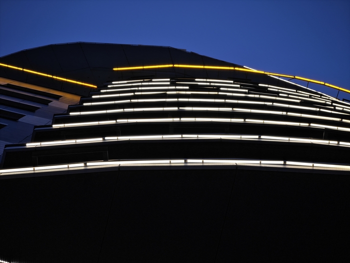 ����� Domina.