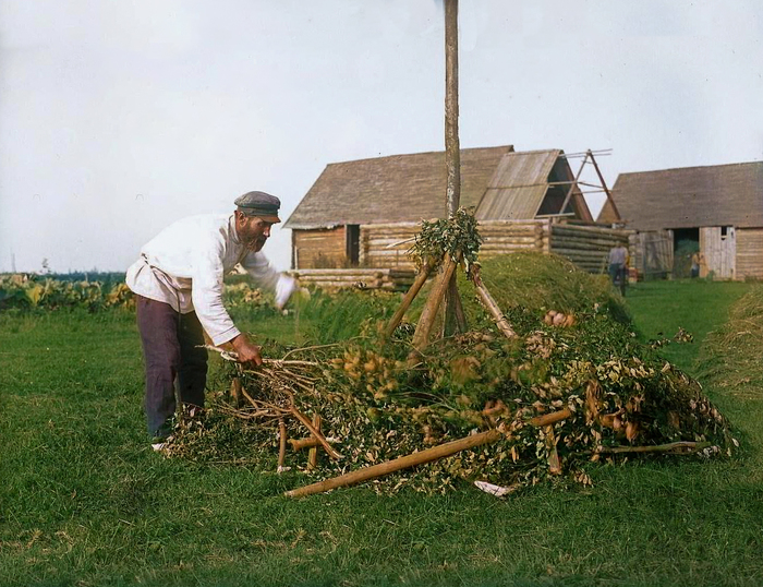 Как жили в Ленинградской области 100 лет тому назад? Исторические кадры из жизни крестьян в цвете. Часть II Старое фото, Фотография, СССР, 1920-е, История России, Колоризация, 20 век, Ленинградская область, Крестьяне, Деревня, Историческое фото, Длиннопост