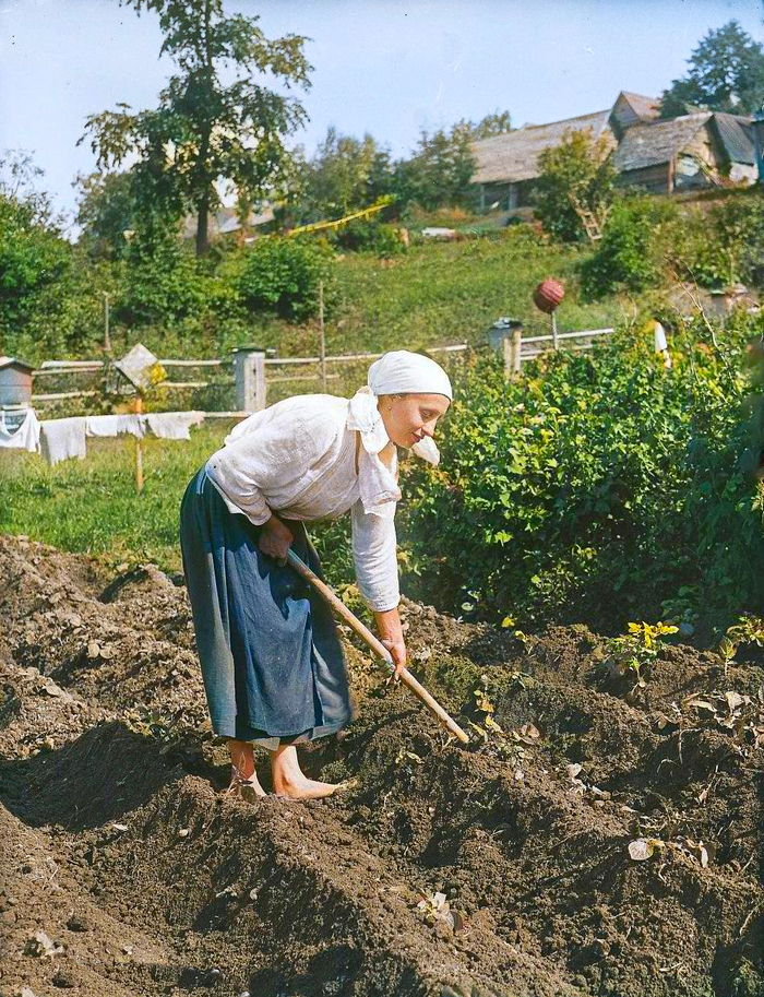 Как жили в Ленинградской области 100 лет тому назад? Исторические кадры из жизни крестьян в цвете. Часть II Старое фото, Фотография, СССР, 1920-е, История России, Колоризация, 20 век, Ленинградская область, Крестьяне, Деревня, Историческое фото, Длиннопост