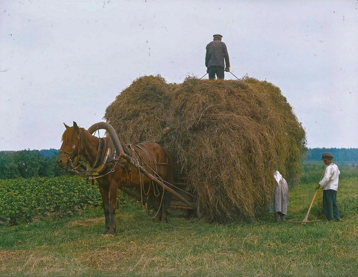 Как жили в Ленинградской области 100 лет тому назад? Исторические кадры из жизни крестьян в цвете. Часть II Старое фото, Фотография, СССР, 1920-е, История России, Колоризация, 20 век, Ленинградская область, Крестьяне, Деревня, Историческое фото, Длиннопост